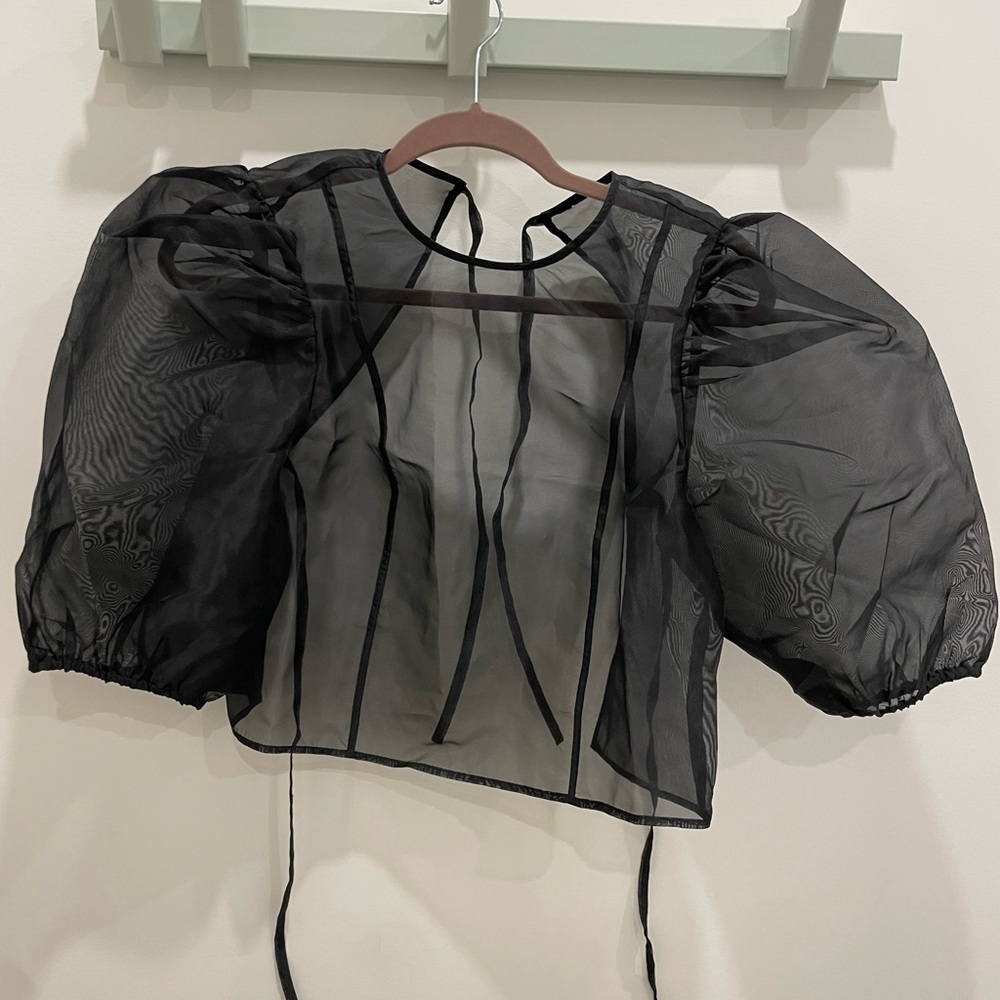 Elegant Black Sheer Puff Sleeve Top